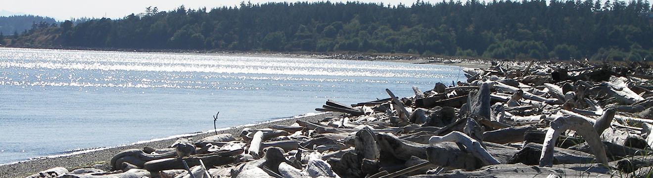 PNW_Web_Header_Rocky_Point_Recreation_Area_07.jpg