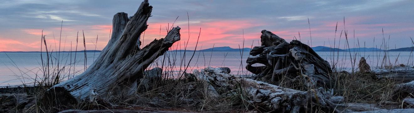 WI-Rockypoint-2_web.jpg